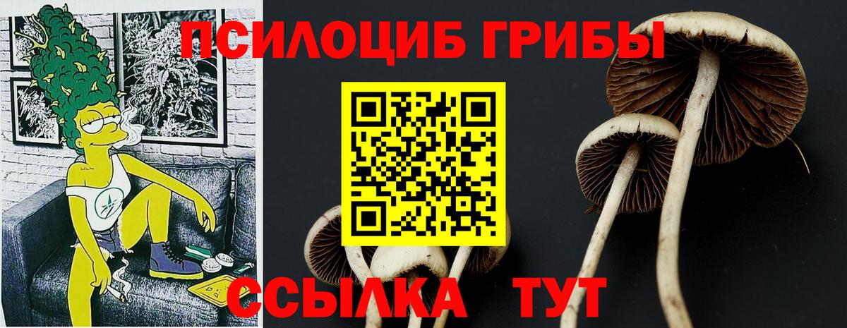 Псилоцибиновые грибы MAGIC MUSHROOMS Новотроицк