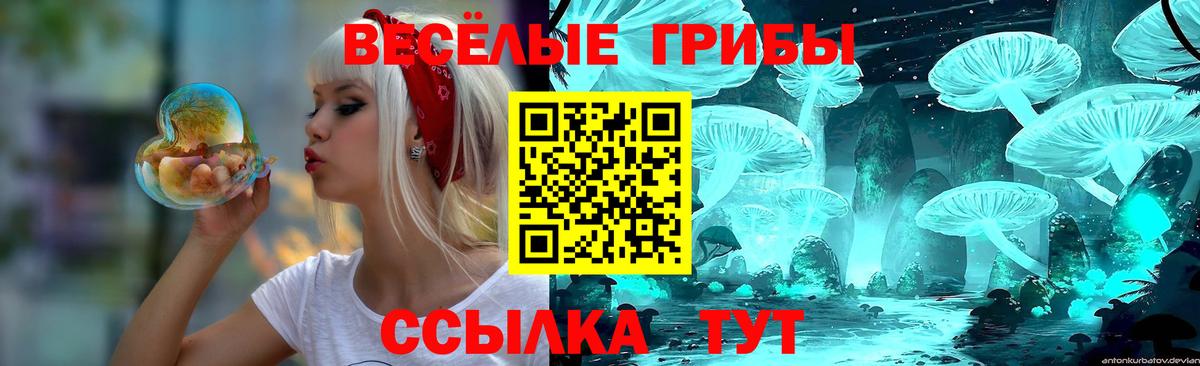 Галлюциногенные грибы прущие грибы  Вход с VPN  Галлюциногенные грибы MAGIC MUSHROOMS  Новотроицк 
