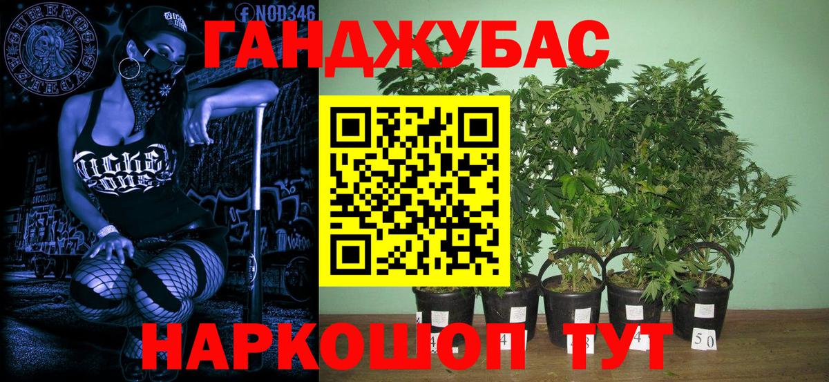 Каннабис LSD WEED  Вход с VPN  Канабис тримм  Шишки марихуана SATIVA & INDICA  Новотроицк  Бошки марихуана OG Kush 